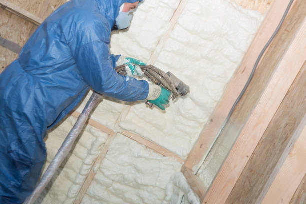 Best Basement Insulation  in Platte, SD